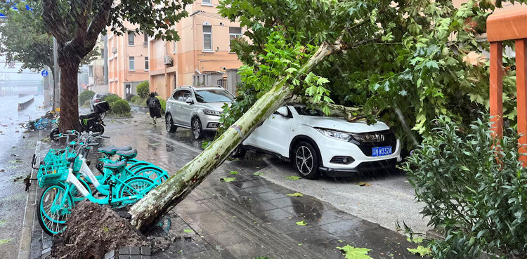 Strongest storm since 1949 lands in Shanghai